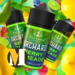 جویس میکس بری لیمو فایو پانز <br><span>Five Pawns Berry Limeade</span> - Image 3